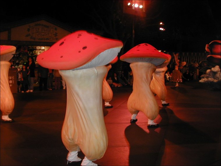 Смешной грибочек