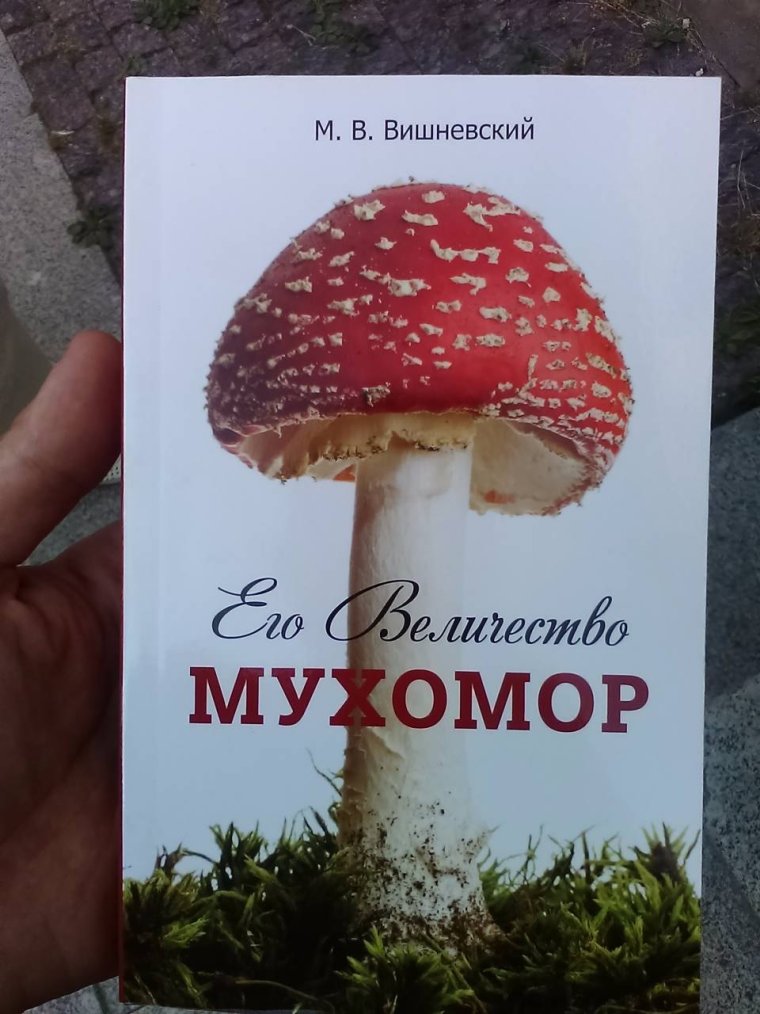 Мухомор и поганка