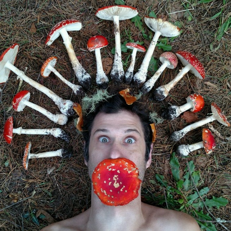 Мягкая игрушка грибочек