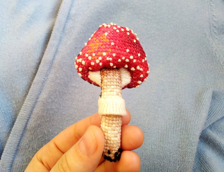Гриб Amanita Jackson
