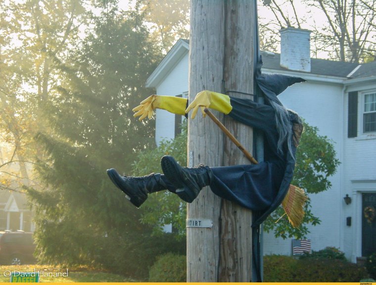 Ведьма на метле врезалась в столб