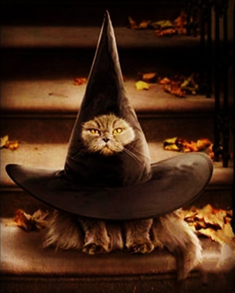 Ведьмочки юмор