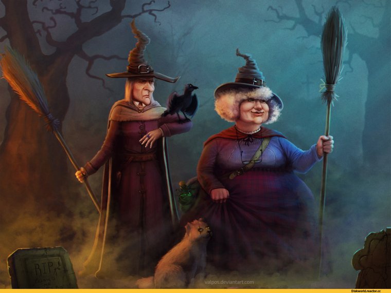 Тетка на метле