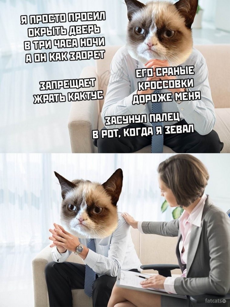 Психологические мемы