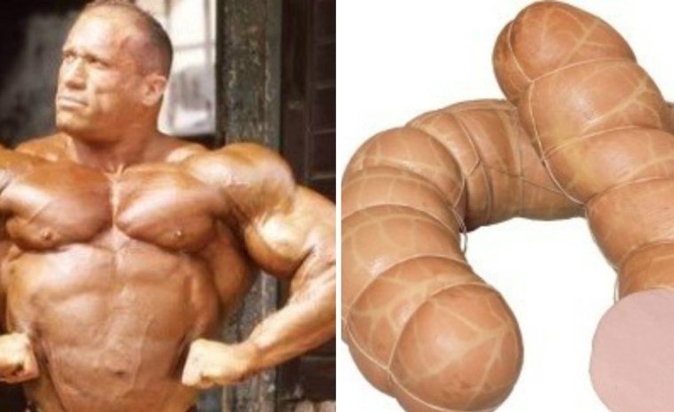 Бодибилдер колбаса