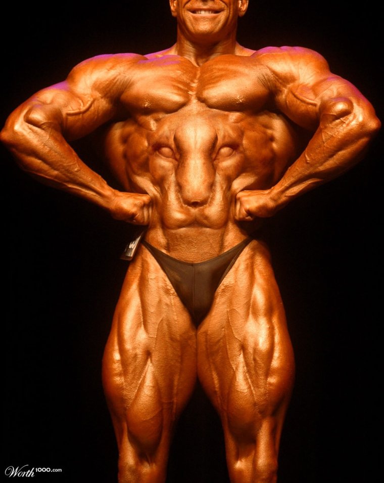 Смешной бодибилдинг