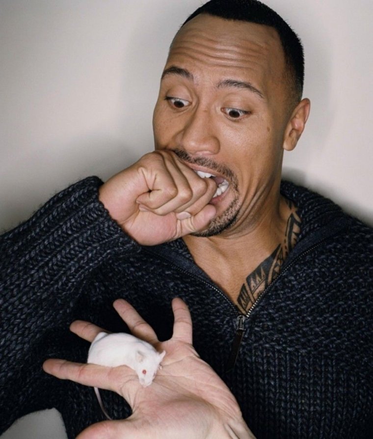 Дуэйн Джонсон смешной