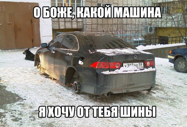 Автомобиль медведь