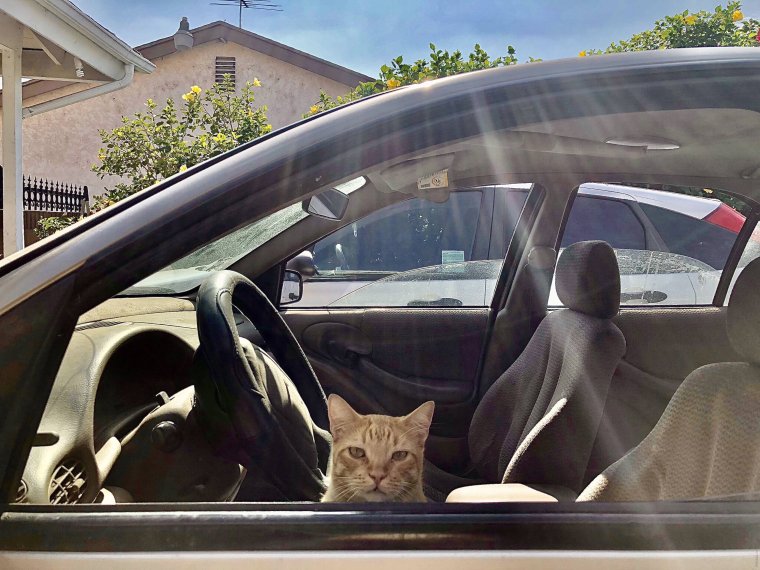 Цитаты про машины