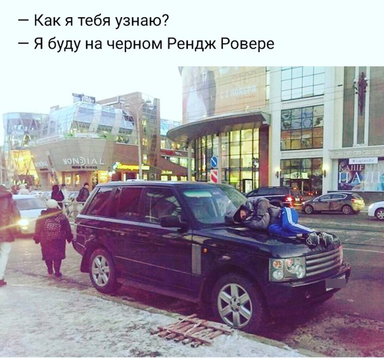 Животные в автомобиле
