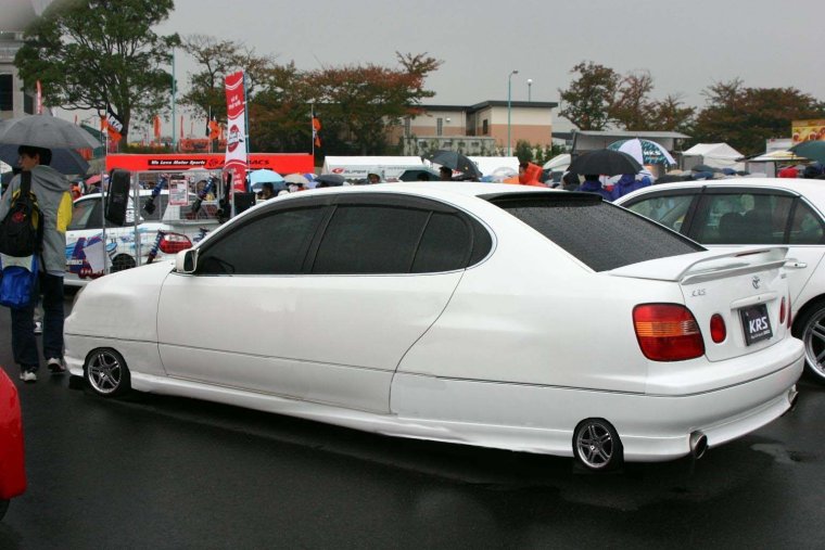 Конь врезался в машину