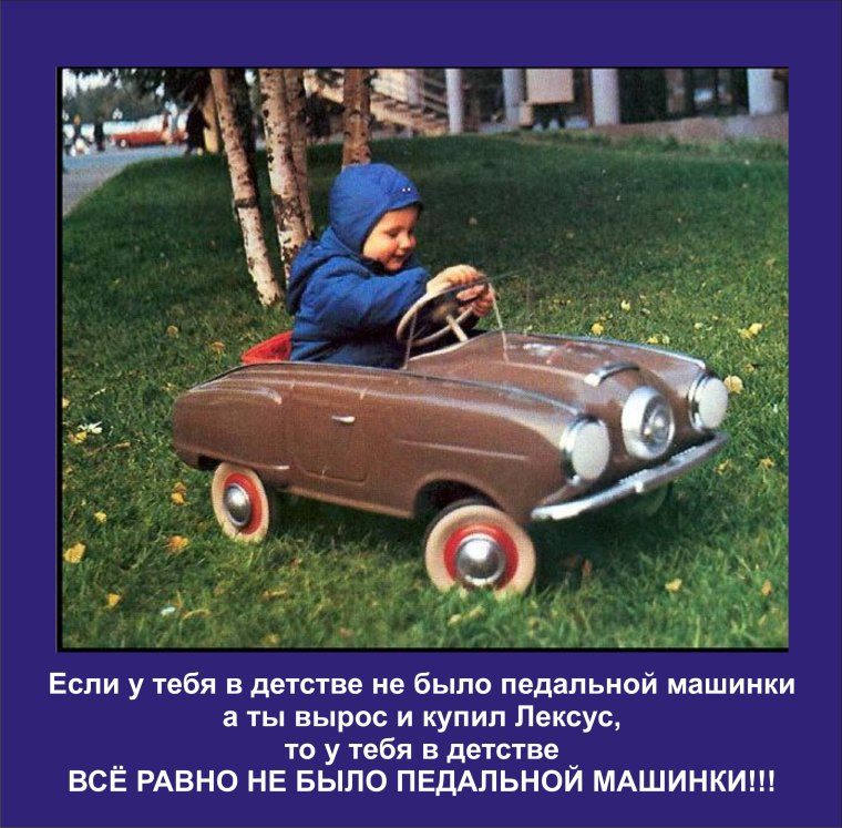 Медведев за рулем смешные картинки