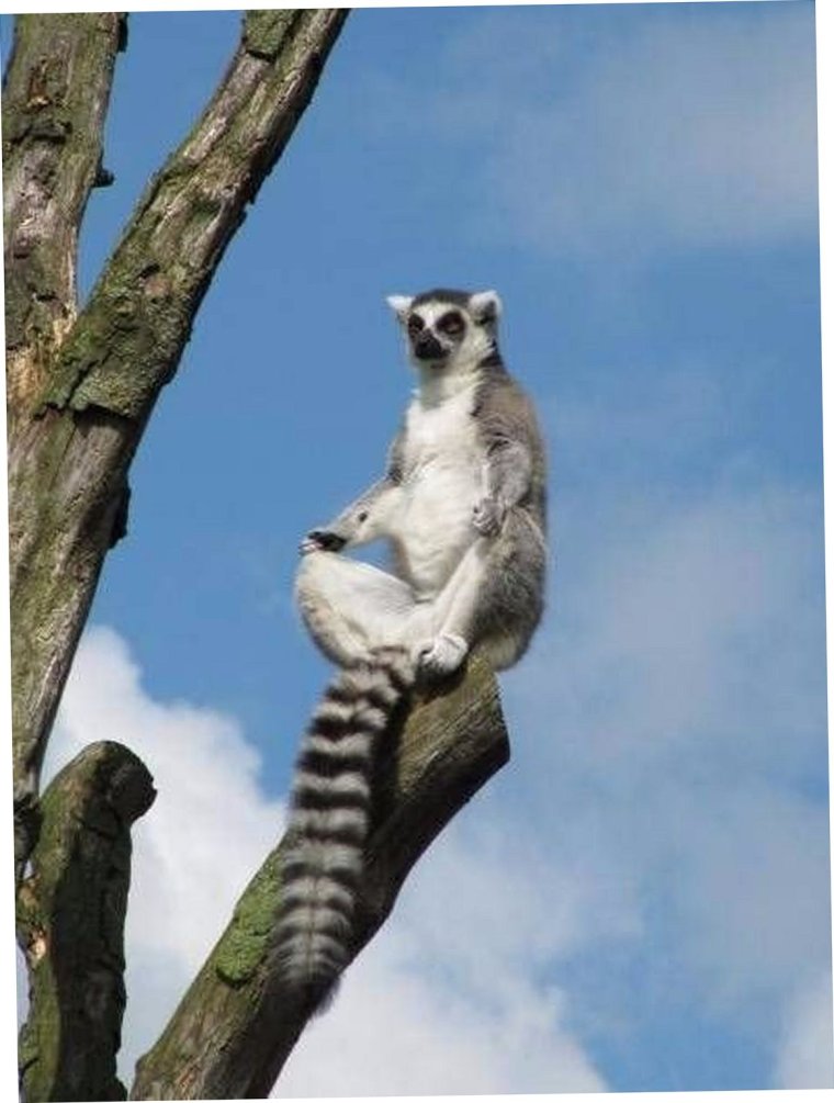 Медитация демотиватор