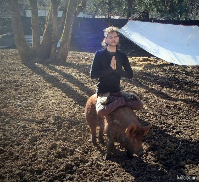 Владислав Александровский Ташкент