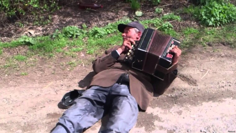 Алкаш гармонист