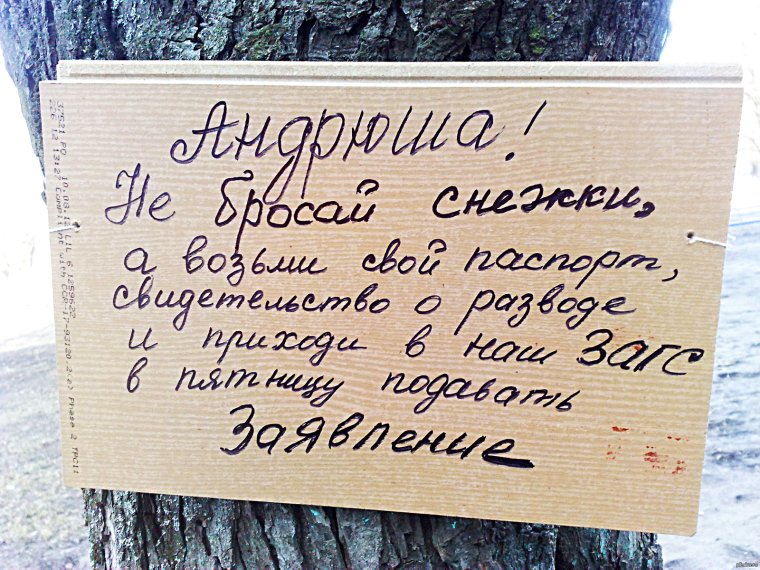 Стих про Андрея смешной