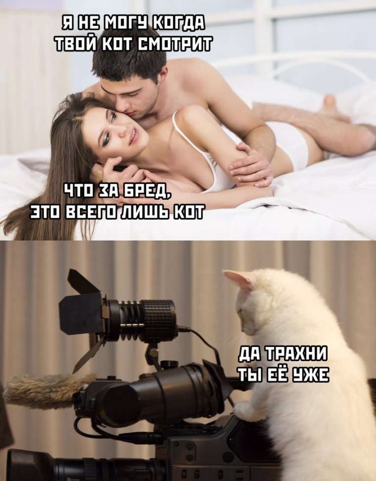 Смешные интимные картинки