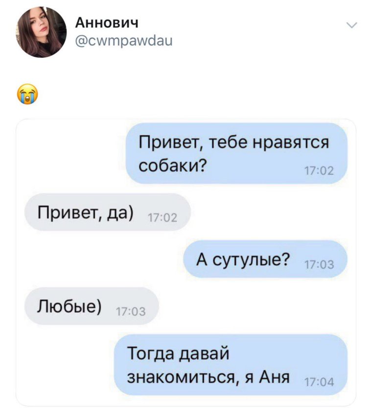 Аня собака сутулая