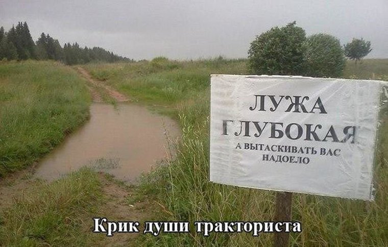 Прокати нас Петруша на тракторе