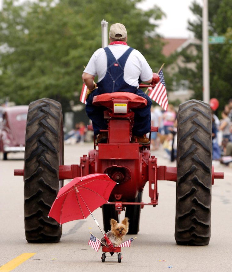 Усатый тракторист