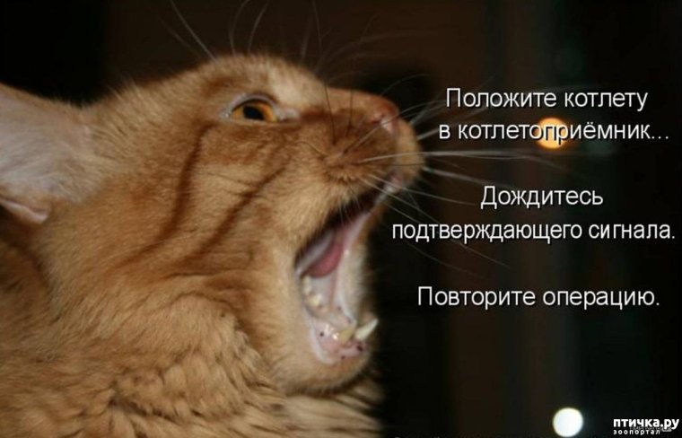 Сломанный будильник