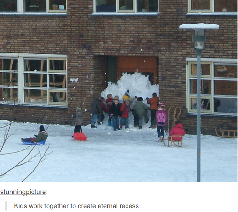 Прикольная школа