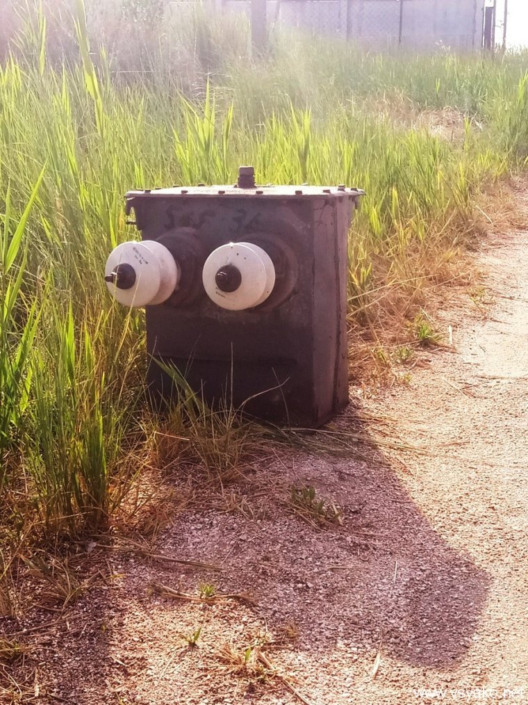 Смешные фейерверки