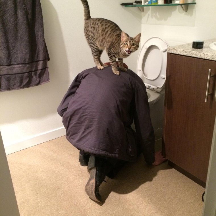 Игры дурацкие игры