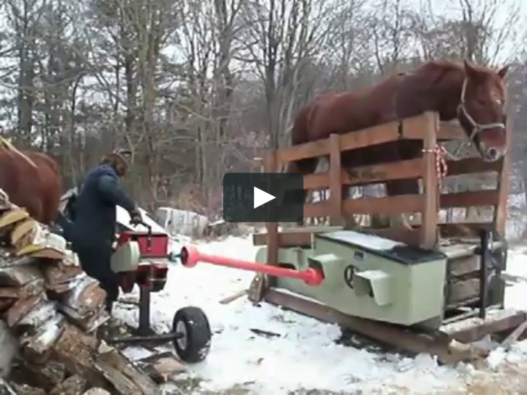 Пилорама на конной тяге