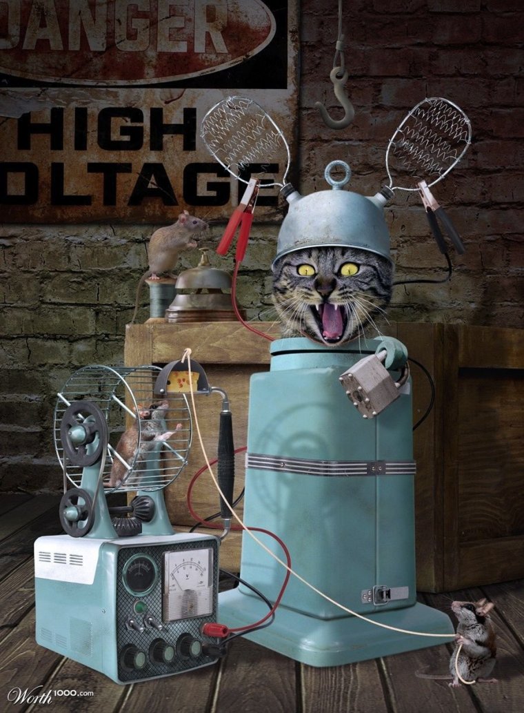 Пріколы про жележнодорожніков