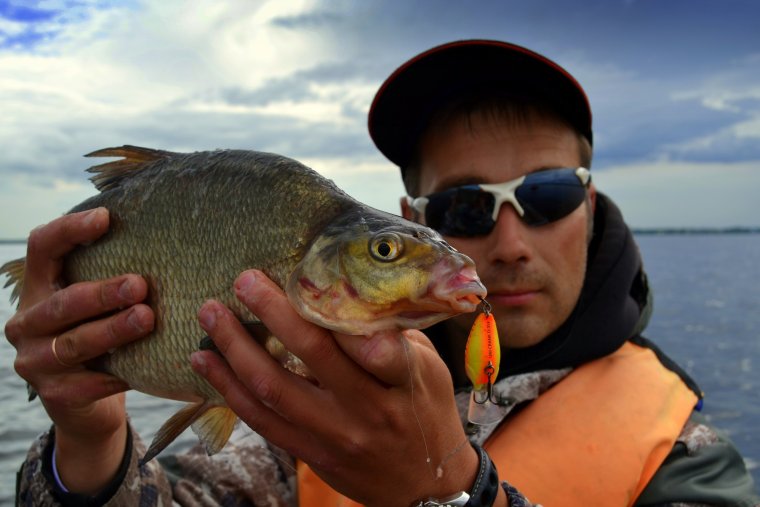 Большая рыба прикол