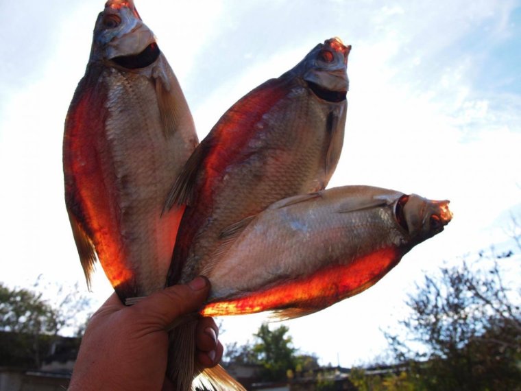 Рыба прикол