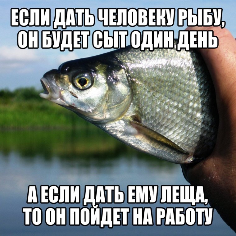 Смешной лещ