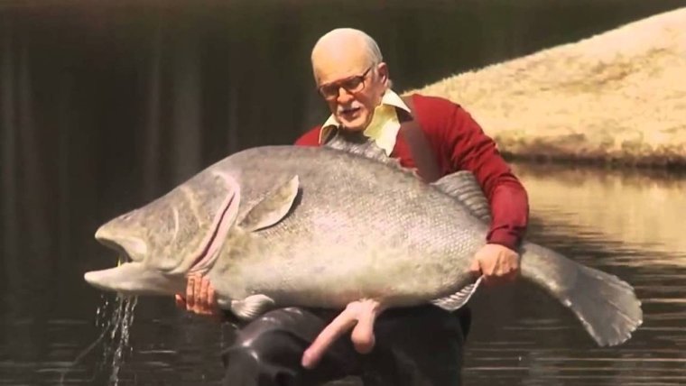 Большеротый Ковровый горбыль