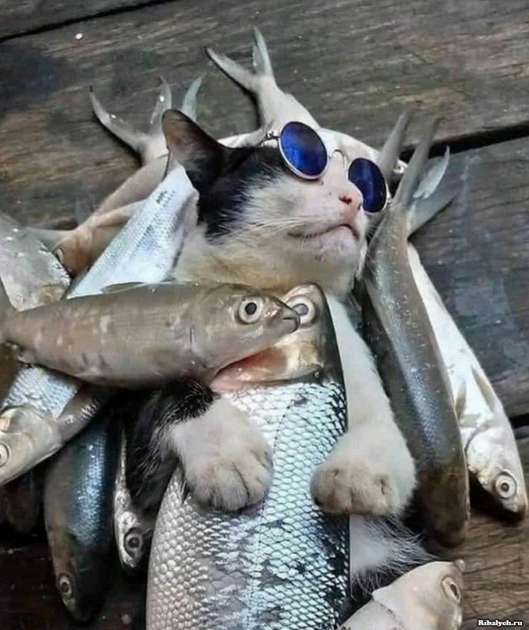 Река Великая рыбалка