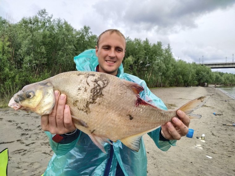 Карп лещ карась