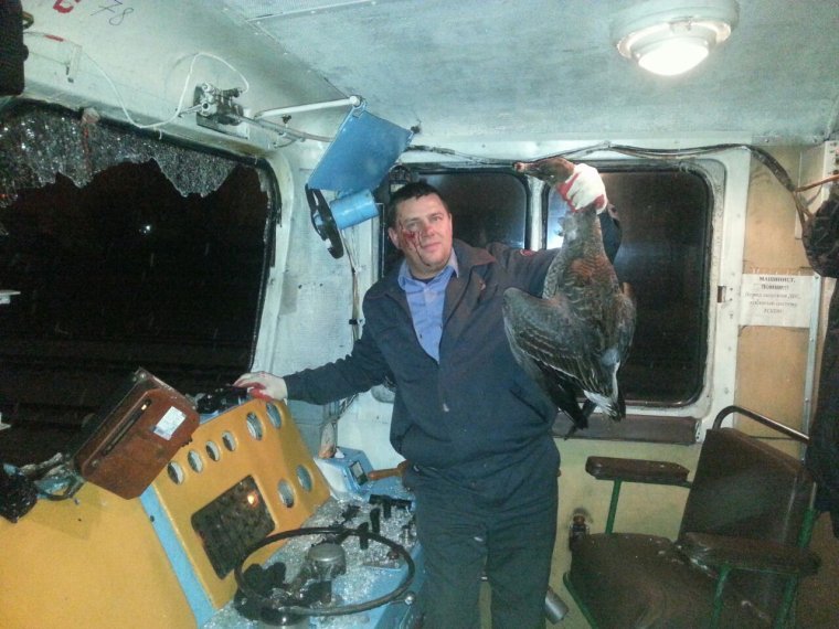 Смешные машинисты в кабине