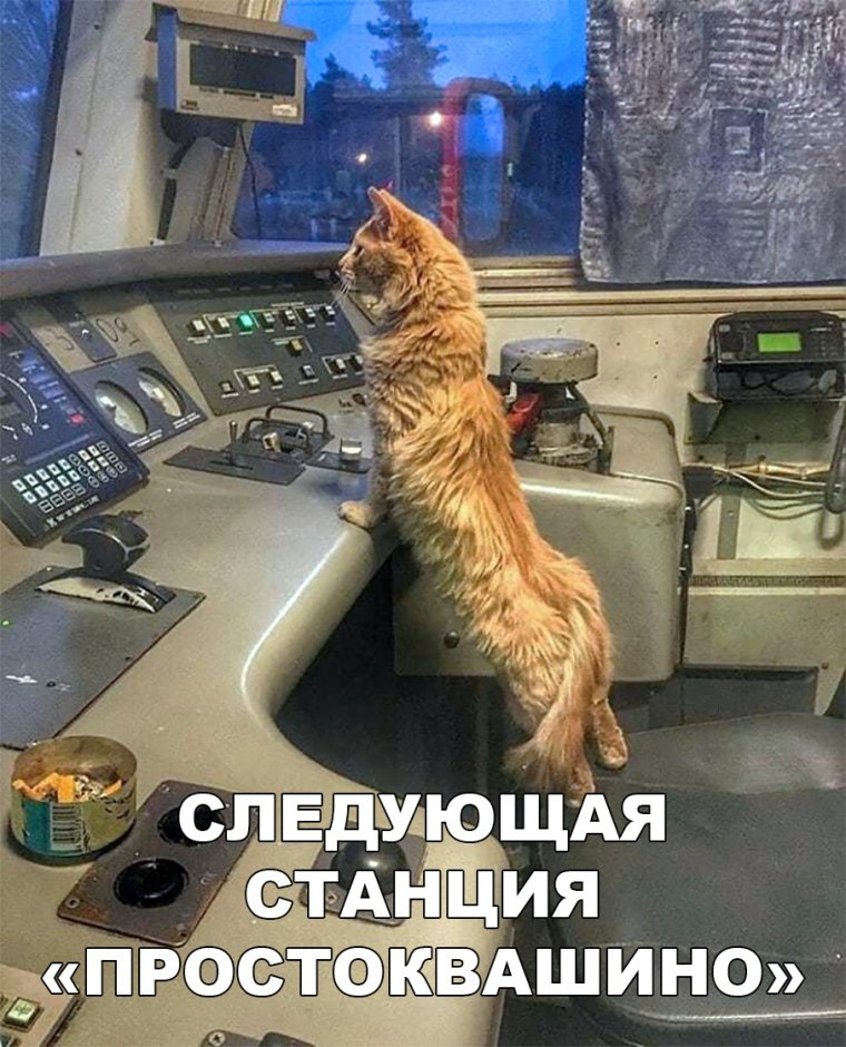 Кот Железнодорожник