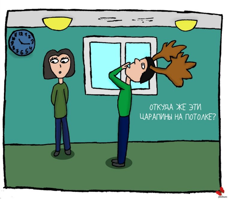 Натяжные потолки приколы