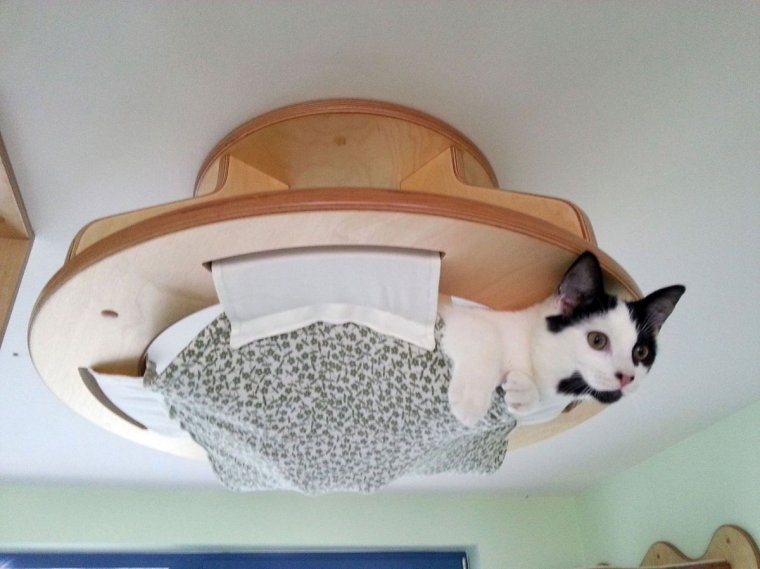 Домик для кота на потолке