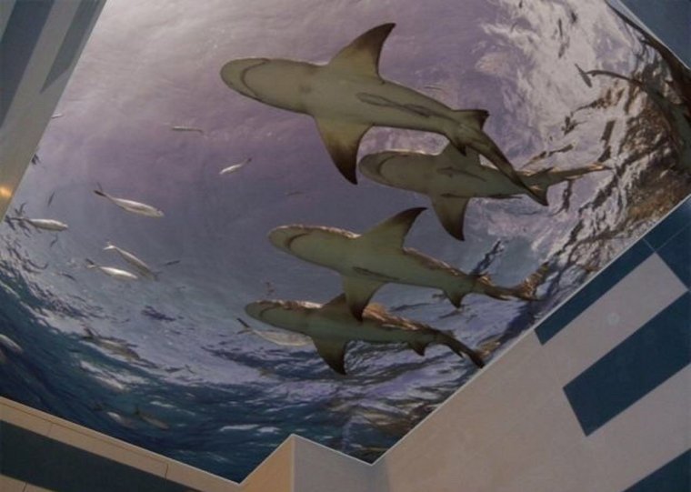 Натяжные потолки 3д фотопечать