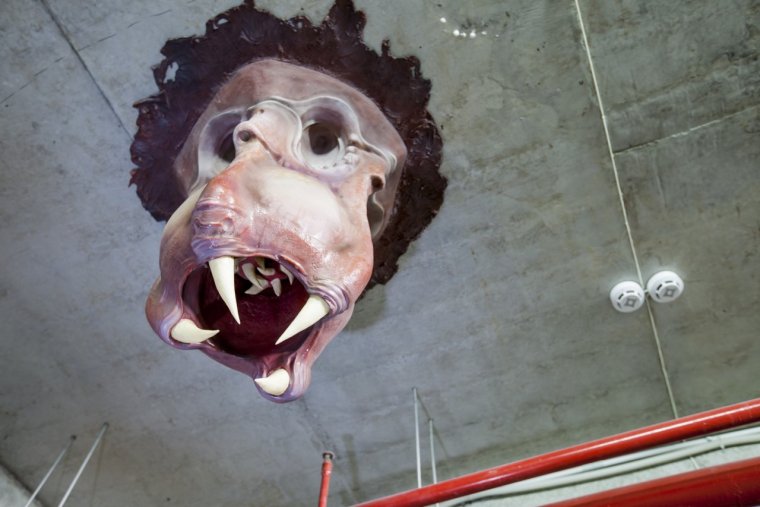 Монстр халф лайф Барнакл