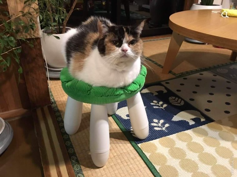 За секунду до пи@дюлей