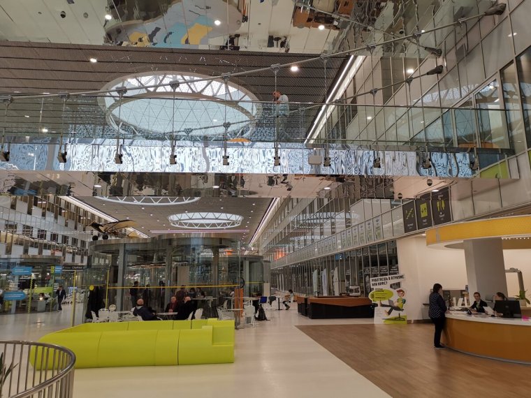 Унитаз на колесах