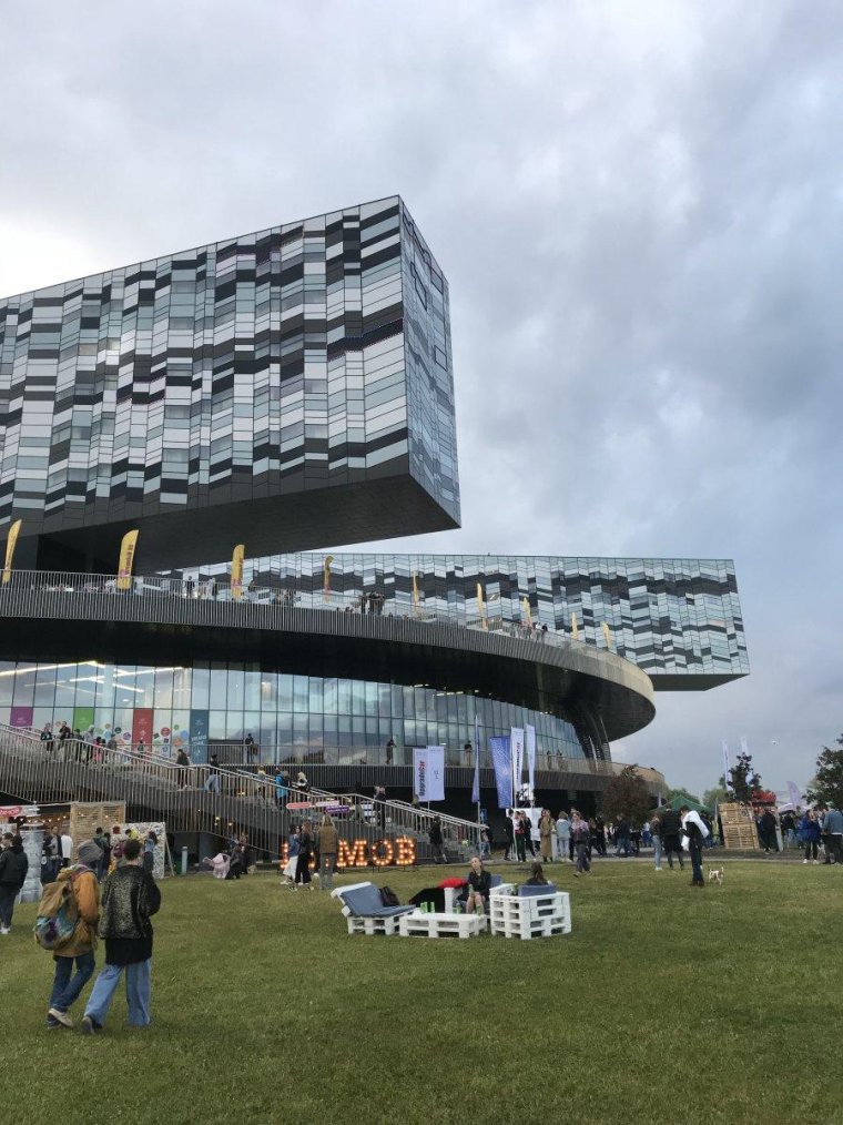 Мой хозяин идиот собаки