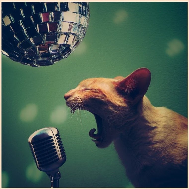 Поющие животные