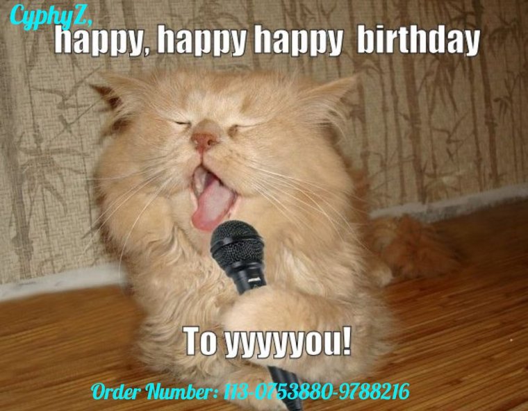 Поющие коты приколы