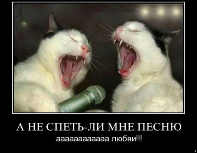 Демотиваторы позитивные смешные