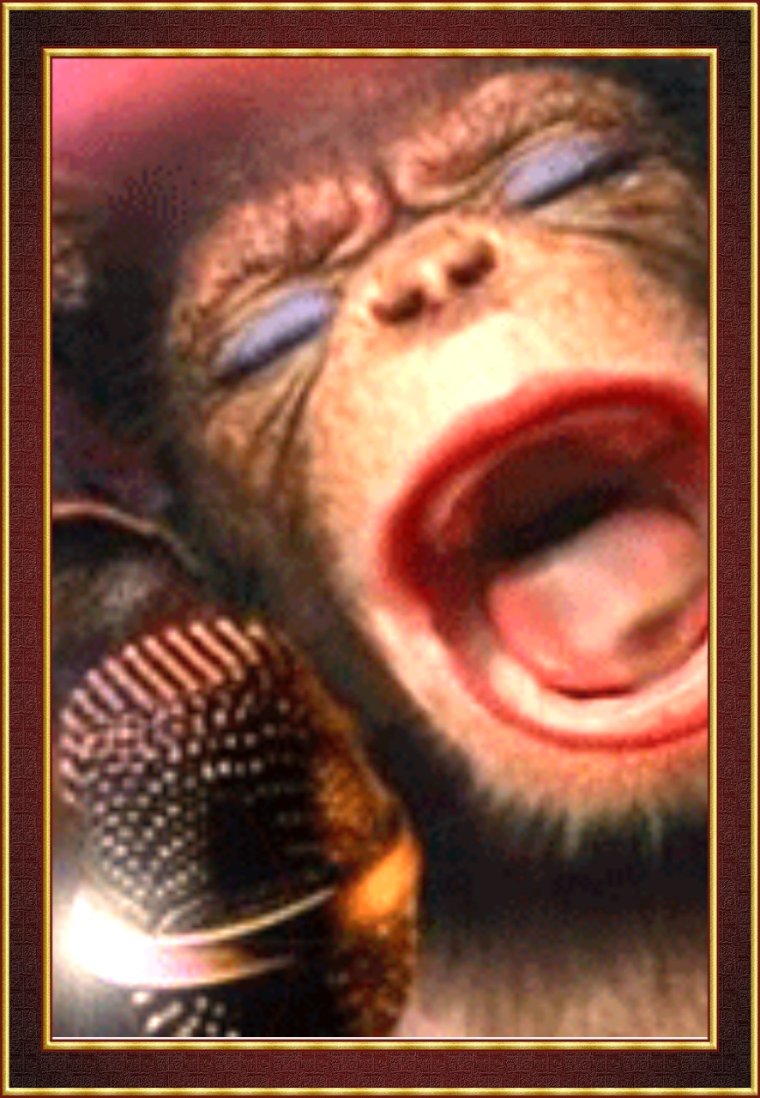 Обезьяна поет