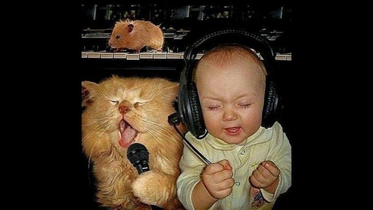 Музыкальные приколы